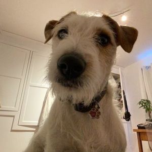 Meet your Posher, Juliette